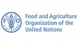 Food and Agriculture Organization of UN